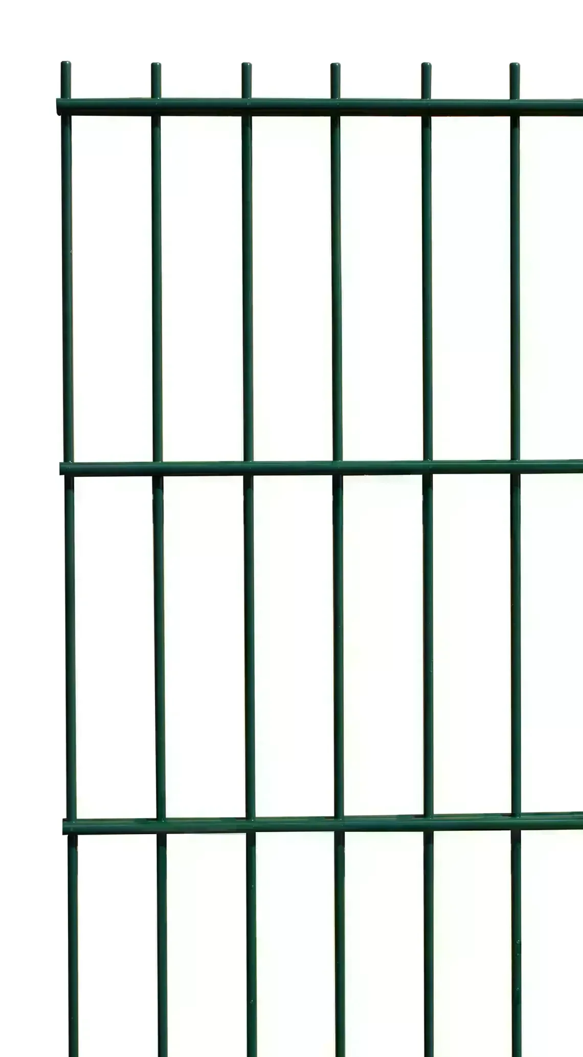 DS Matte grün
